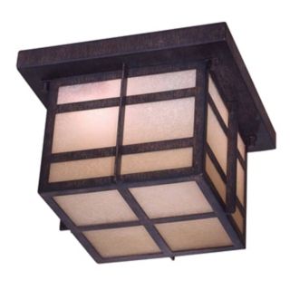 Delancy 10" Wide Indoor   Outdoor Energy Star Ceiling Light   #37387
