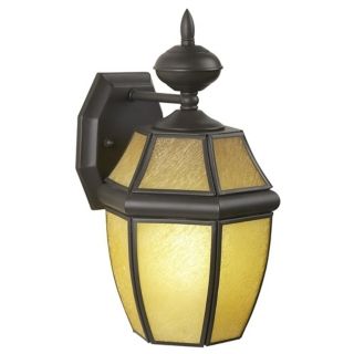 Bronze and Champagne Glass 13" High Outdoor Wall Light   #49174