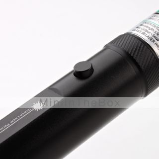 Flashlight Shaped Green Laser Pointer with Batteries (5mw,532nm,Black