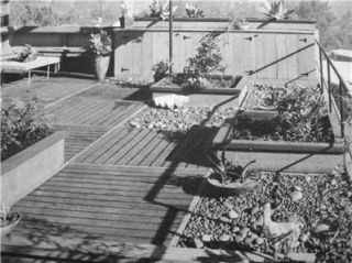 1965 Mid Century Modern PLANNING & LANDSCAPING HILLSIDE HOMES Plans