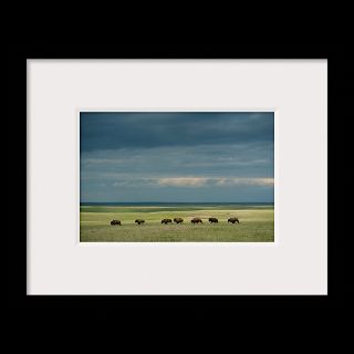 National Geographic Art Store  2012_01_10 048  South Dakota