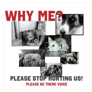 Wall Art  Posters  stop animal abuse Poster