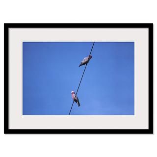 Low angle view of birds perching on telephone wire Framed Print
