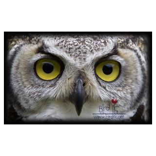 Wall Art  Posters  Owl Eyes Wall Art Poster