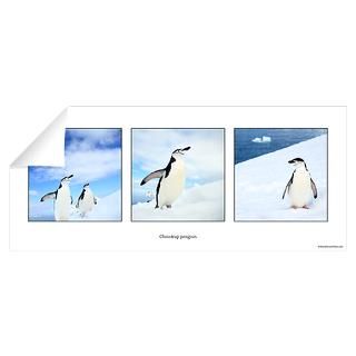 Wall Art  Wall Decals  Chinstrap Penguin Wall Decal