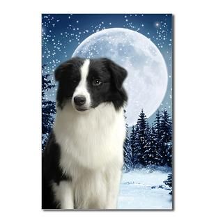 2010 Border Collie Postcards (Package of 8) for $9.50