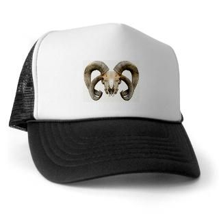 Horn Sheep Skull  GENERALLY AWESOME T Shirts & Hats