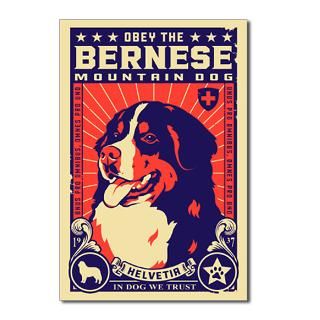 Bernese Mountain Dog Postcards (Package of 8)  Bernese Mountain Dog