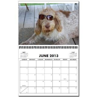 12 Months of Spinoni 2013 Wall Calendar by Spinonedoodle