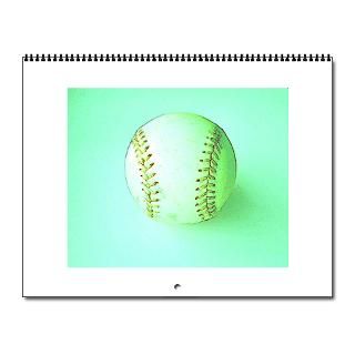 Gifts  Accessories Home Office  12 Months of Sports Wall Calendar