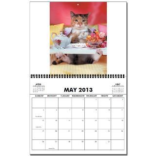 Funny Animal Antics Cat 2013 Wall Calendar   12 differe by johnlund