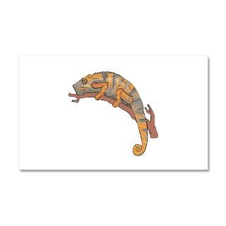 Animal Gifts  Animal Wall Decals  Orange and Grey Chameleon 22x14