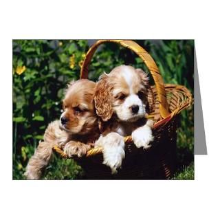 Gifts  Animals Note Cards  Cocker Spaniel Note Cards (Pk of 20