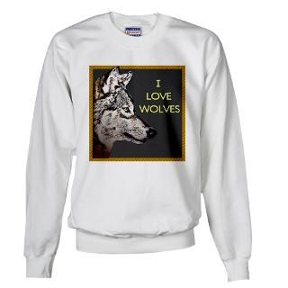 Mens Hoodies & Hooded Sweatshirts  Buy Mens Sweatshirts Online