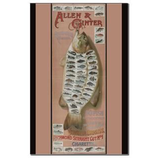 Vintage 50 fish from American waters Poster Print