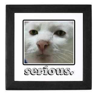 Serious Cat  Popular Pet T Shirts & Gifts  PetGiftz