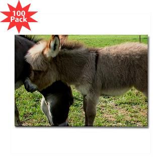 baby mini donkey hug rectangle magnet 100 pack $ 146 99