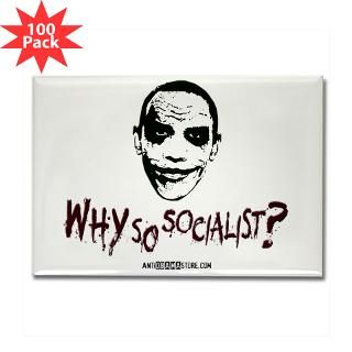 why so socialist rectangle magnet 100 pack $ 168 99