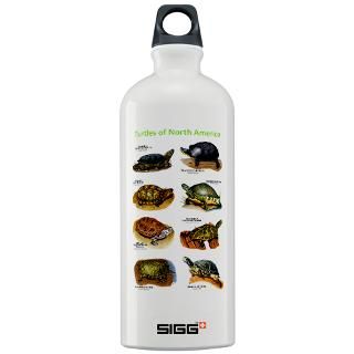 Turtle Ninja Water Bottles  Custom Turtle Ninja SIGGs