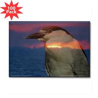 patriotic themes rectangle magnet 100 pack $ 174 99