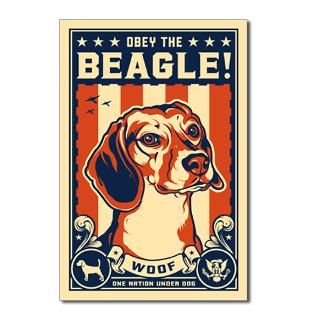 American Beagle : Obey the pure breed! The Dog Revolution