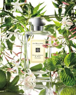 jo malone white jasmine mint collection $ 50 00 $ 110 00 this