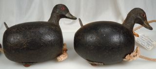 Vintage Pair Duck Decoys from Knotts Island