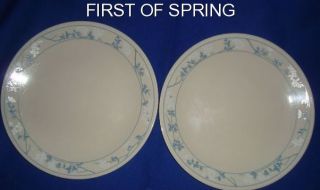 Corelle First of Spring Dinner Plates Set of Two 2