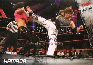 Tristar TNA Xtreme 2010 Complete Base Set 1 100 Cards Hulk Hogan Flair