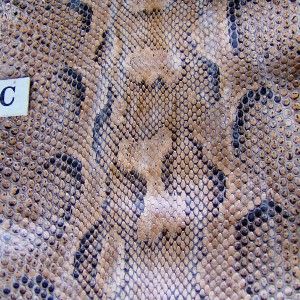 ANTIQUE AFRICAN ROCK PYTHON SNAKE SKIN *8 ft 7* TAXIDERMY * GORGEOUS