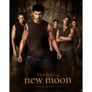 Twilight New Moon Jacob Wolf Pack Poster Taylor Lautner