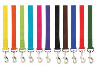 Nylon Dog Leash Lead 4 or 6 Foot Bright Basic Solid Colors 11 Colors 2