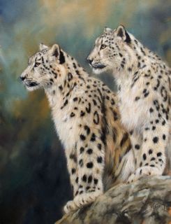 Snow Leopards New David Stribbling Oil Painting