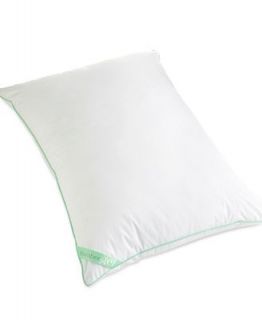 Bed & Bath  Bedding Basics  Pillows
