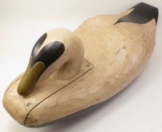 BEAUREGARD Jesse Obed Eider Wood Duck Decoy; Signed/Dated McNair Style