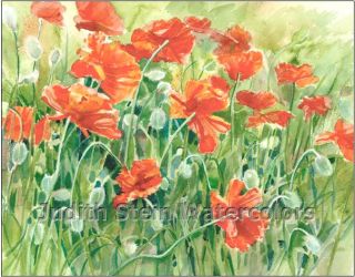 Poppies Orange Flower Garden Meadow 8 x10 Giclee Watercolor Signed