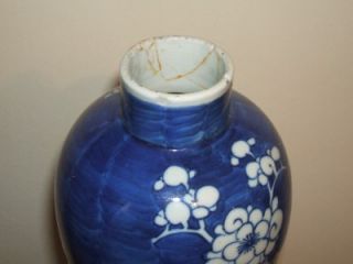 OLD CHINESE BLUE & WHITE PRUNUS VASE & COVER   BLUE DOUBLE CIRCLE MARK