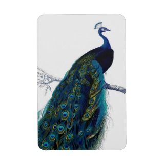 Vintage Blue Elegant Colorful Peacock Flexible Magnets
