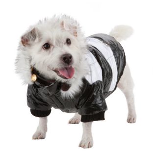 Clothing & Accessories   Dog