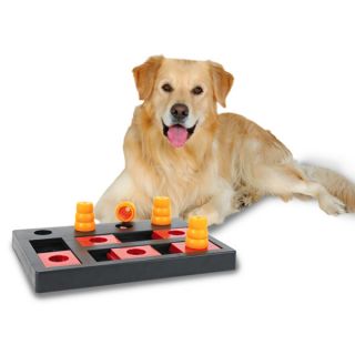 TRIXIE's Chess Game (Level 3)   Toys   Dog