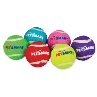 Grreat Choice™ Mini Tennis Balls 6 pack   Toys   Dog