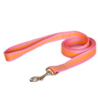 Dog Collar, Dog Leash & Dog Training Collar Options