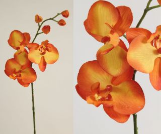 Dieser schöne Orchideenzweig hat eine Länge von ca. 64cm.