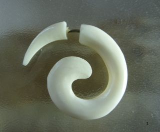Piercing Bone Knochen Ohrring Schnecke /Spirale 25 x 26,5 mm