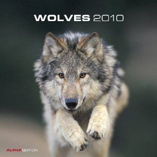 Wölfe Kalender 2010   Wolves Alpha Edition Bücher