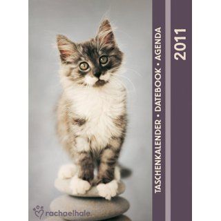 Hale Slimline Cats Kalender 2011 Rachael Hale Bücher