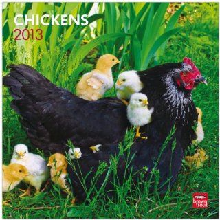 Chickens 2013   Hühner   Original BrownTrout Kalender: 