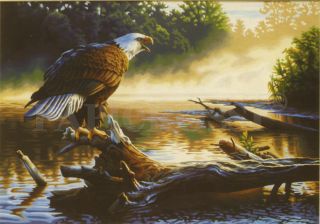 Malen nach Zahlen   Dimensions   Eagle Hunter (Adler), 51x36cm