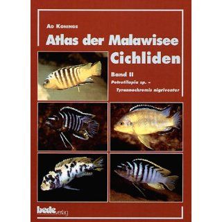 Atlas der Malawisee Cichliden, Bd.2, Petrotilapia sp.   Tyrannochromis