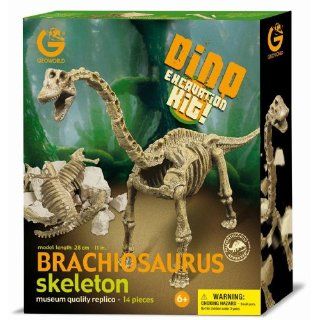   Brachiosaurus Ausgrabungsset circa 28 cm Spielzeug